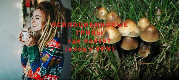 дживик Алексин