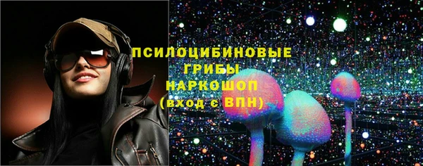 крисы Алзамай