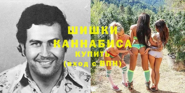 крисы Алзамай