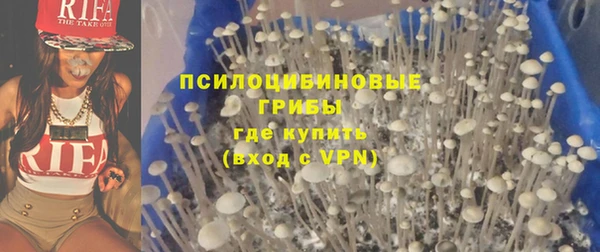 дживик Алексин