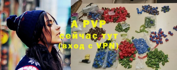 крисы Алзамай